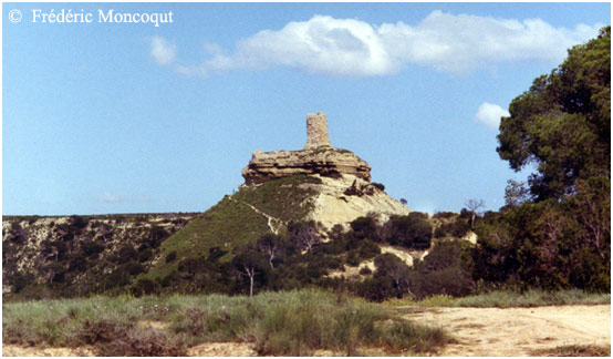 Castillo de Doa Blanca