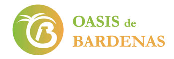 Oasis logo