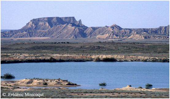 Etang de Zapata