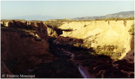 Le barranco Grande.