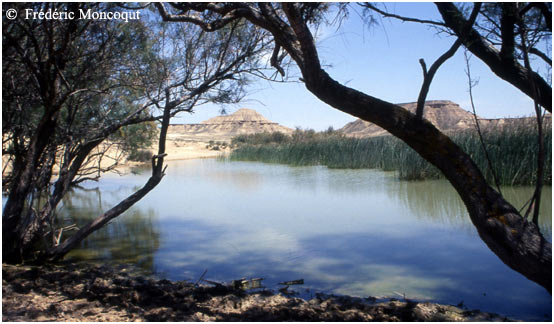 Etang de las Cortinas.