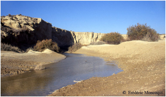 Fond d'un barranco.