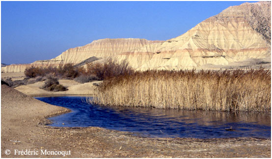 Etang de las Cortinas.