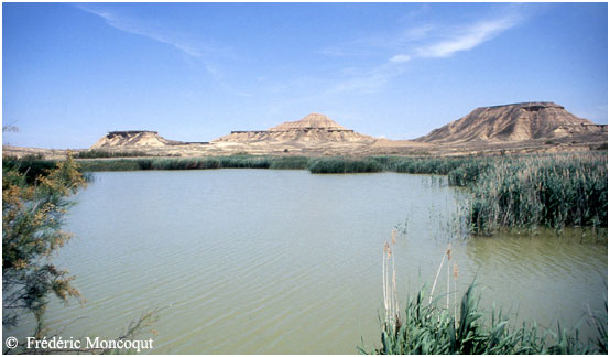 Etang de las Cortinas.