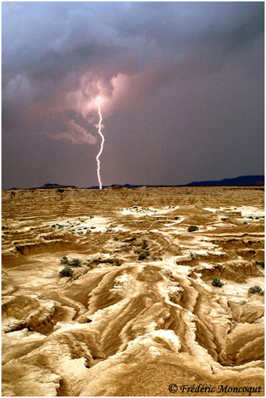 Orage bardenero.