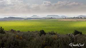 Bardena verte.