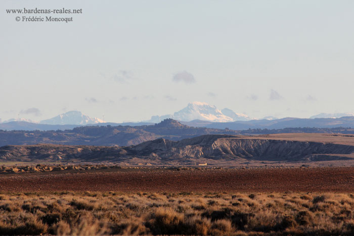 Pyrnes vues depuis les Bardenas.