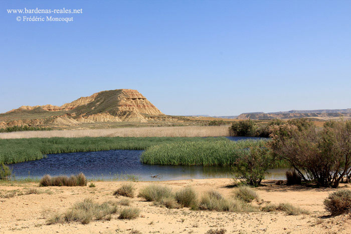 Etang de las Cortinas.