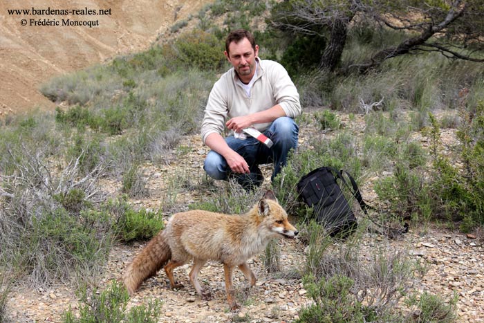 Fred Moncoqut et le renard.