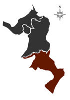 Carte.