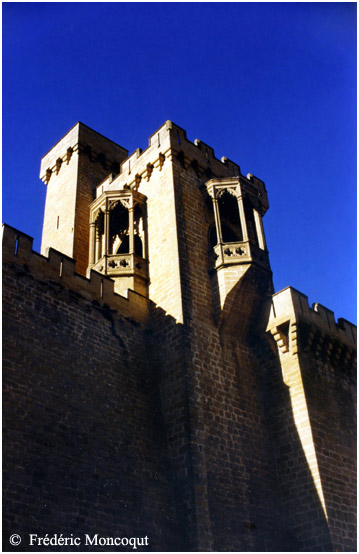 Le chateau de Olite.