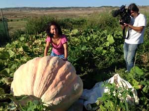 Dans la huerta.