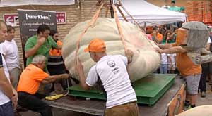 La Citrouille de Ruben.