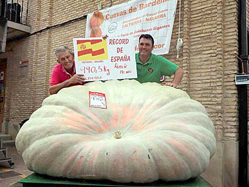 Ruben et son père près de la citrouille de 900 kg.