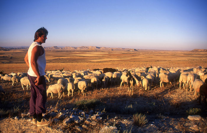 Alberto contemple le dsert des Bardenas.