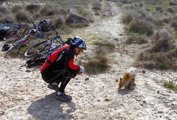 Rencontre insolite