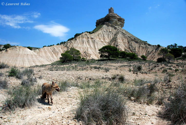 Près de la tour de Doña Blanca