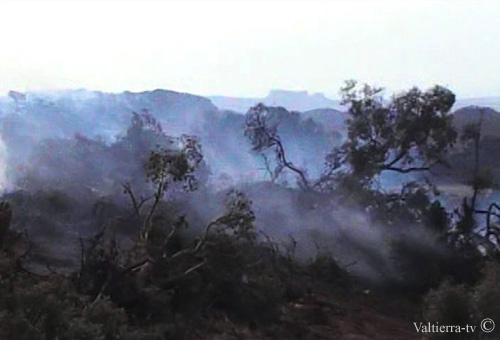 tel un brouillard aux odeurs de bois brulés