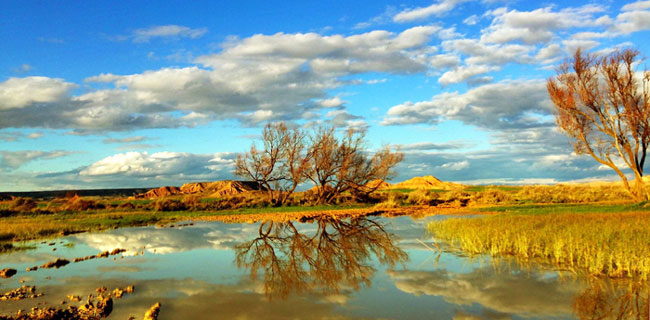 Magnifique paysage bardenero.