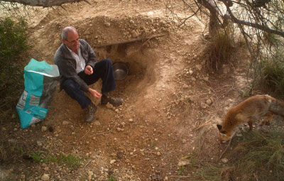 Il se gave de croquettes pour chien.