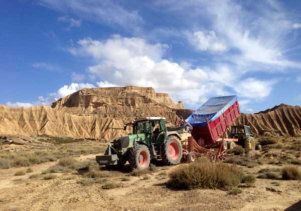 Un tracteur agricole.