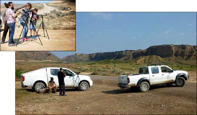 Les touristes observent les rapaces.