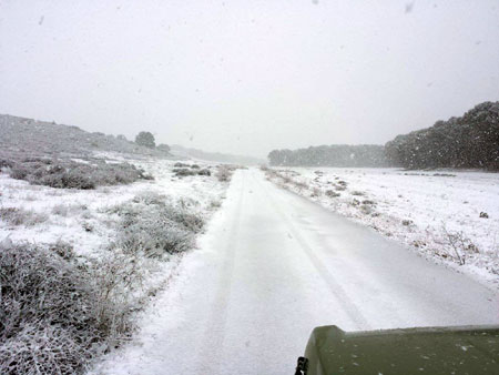 Il neige dans le désert.