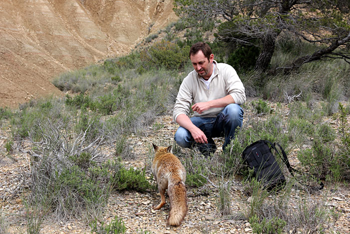 Fred et le renard.