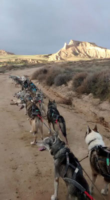 Dans les Bardenas.