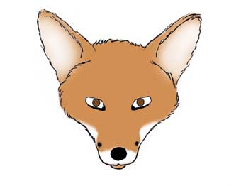 Dessin du renard 3.