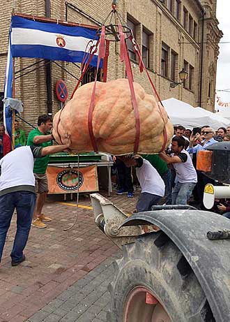 Arrivée de la citrouille record.