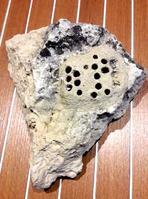 Etrange pierre trouve dans le dsert des Bardenas.