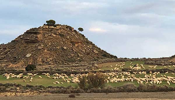 Festin dans le dsert des Bardenas.