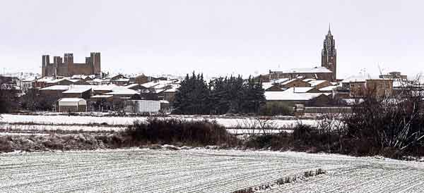 La Bardena del Plano, toute blanche 4