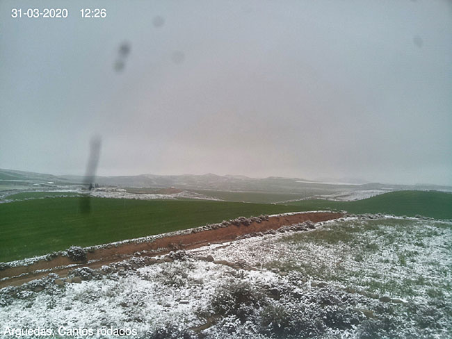 Neige dans les Bardenas.