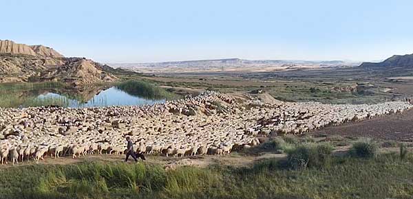 Bardenas, direction les Pyrnes.