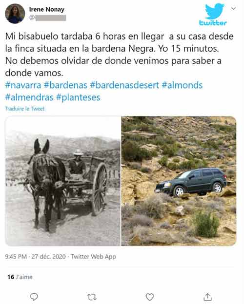 Twit bardena negra