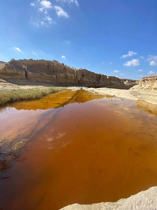 Eaux colorées dans un barranco du désert des Bardenas.