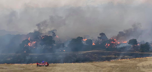 Le feu ce matin.