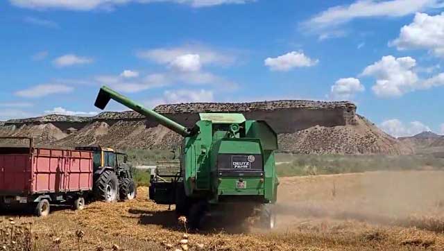 Moisson dans le désert des Bardenas.