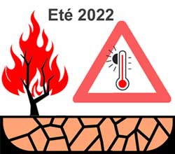 Canicule, sécheresse et incendies.