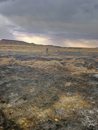 La steppe brulée par la foudre.