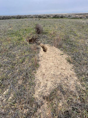 Le trou et la tranchée vu d'en haut.