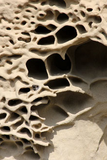 Erosion alvolaire