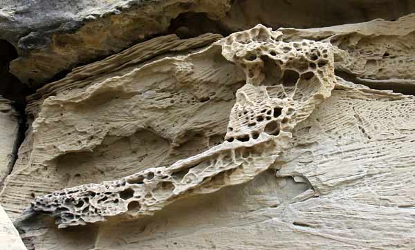 Erosion alvolaire dans le dsert des Bardenas 