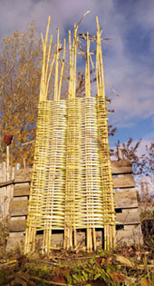 Natte de roseau en fabrication.