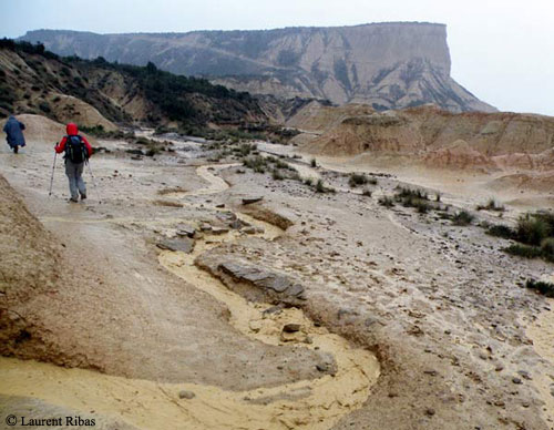 Pluies torrentielles dans le dsert.