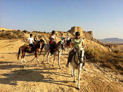 Dans le dsert des Bardenas.