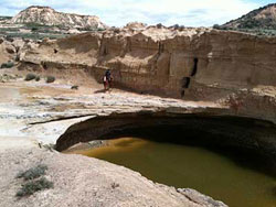 Une vasque d'eau.
