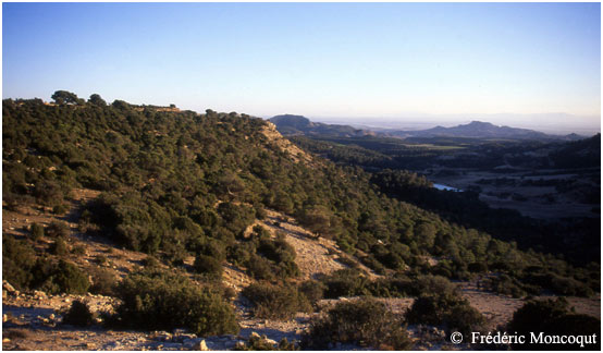 Les pindes de las Caidas de la Negra.